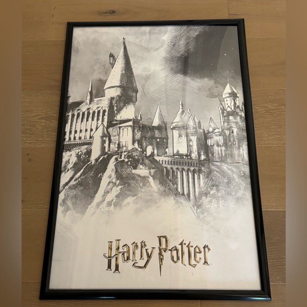 Harry Potter Hogwarts Poster (frame not included) EUC